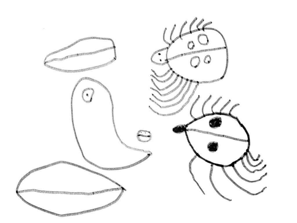 "little creatures" © Matteo Decovich